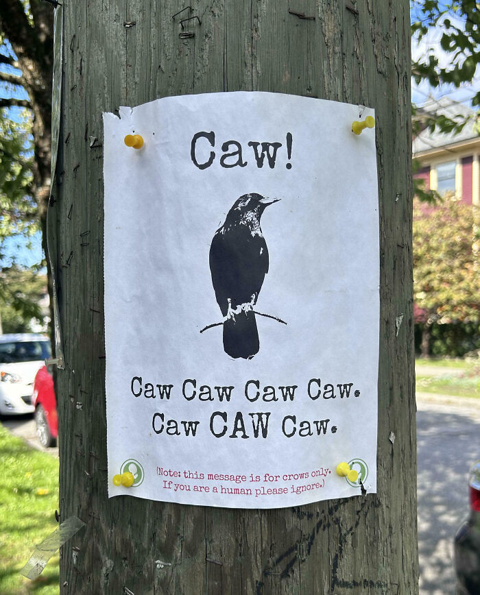 Humorous Canada post on a tree pole showing a crow and caw sounds, a quirky thing that happens only in Canada.