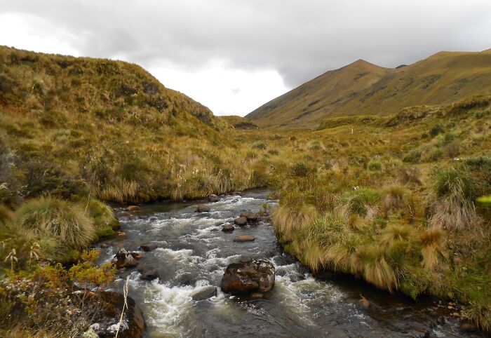 Scenic view of a river winding through a lush landscape, resembling a lost treasure site.