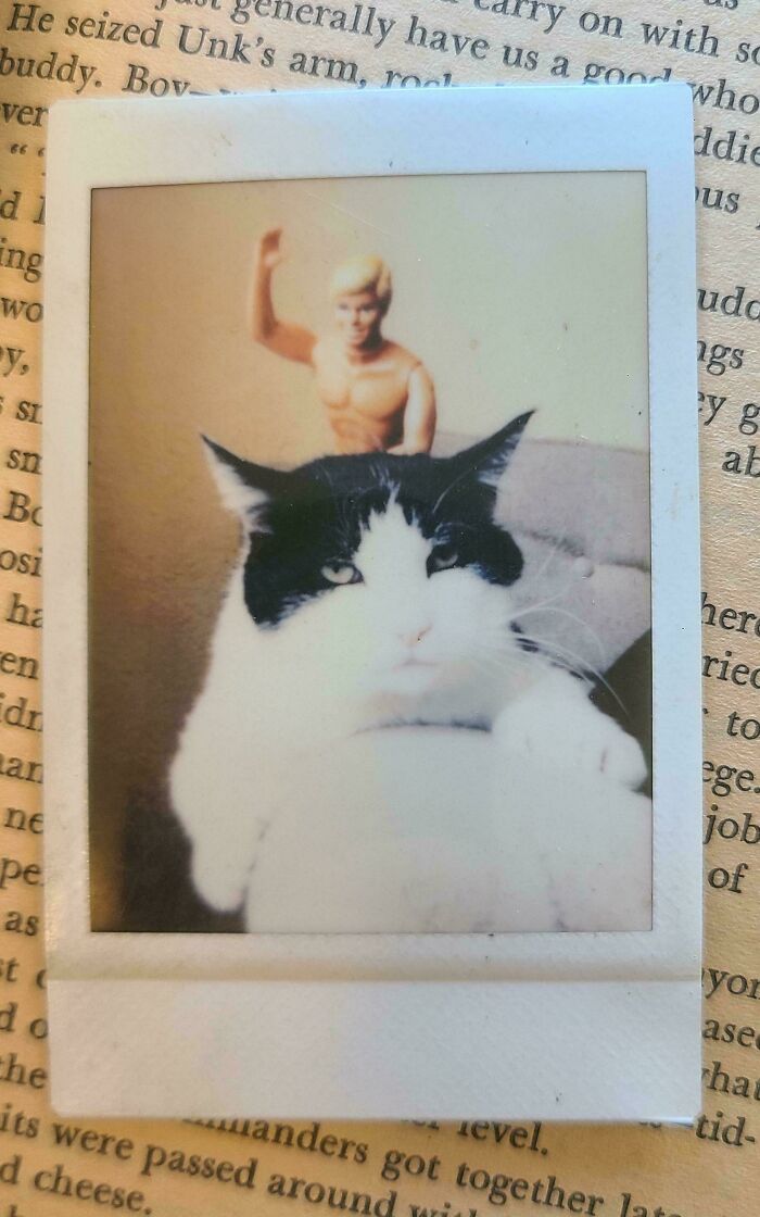 Cat-themed bookmark on a book page, featuring a cat and toy figure.