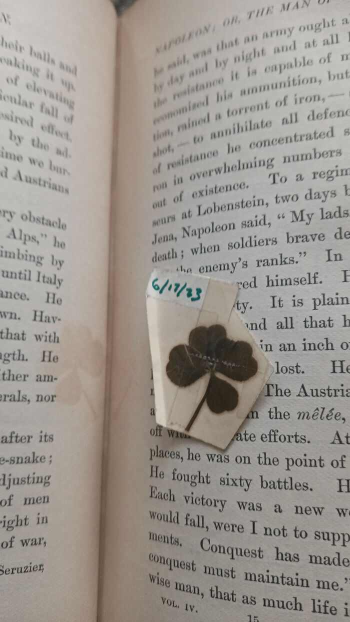 A vintage book opened with a four-leaf clover bookmark, showcasing a unique find by a book lover.