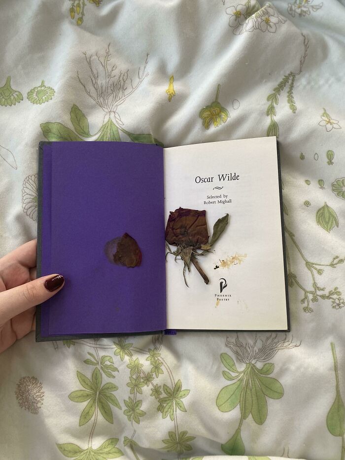 Open book with dried rose as bookmark on floral bedsheet.