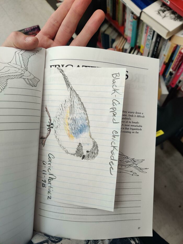 A hand holding a book with a unique bird sketch bookmark inside, labeled "Black Capped Chickadee."