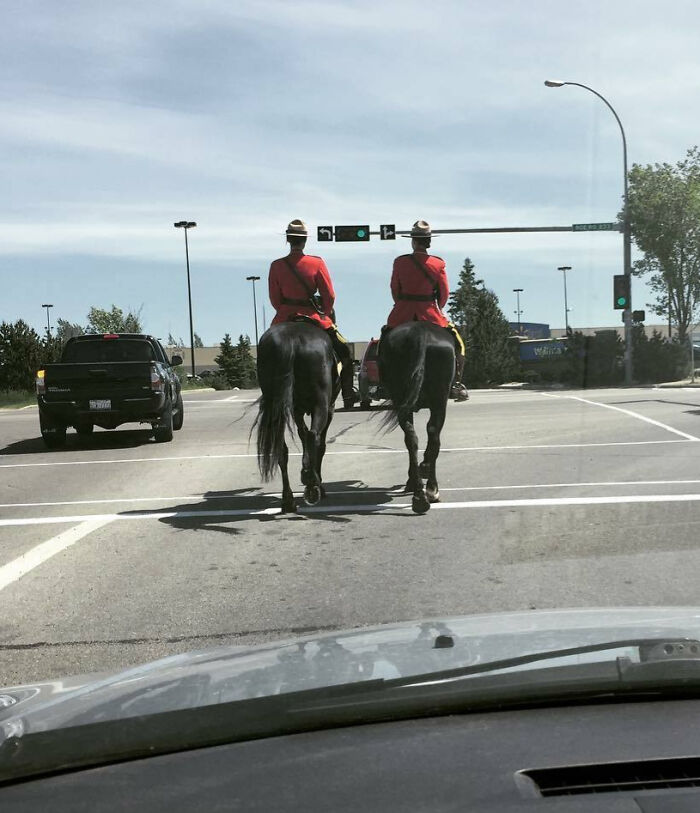 Mounties on horseback at an intersection, typical Just-Canada-Things scene.