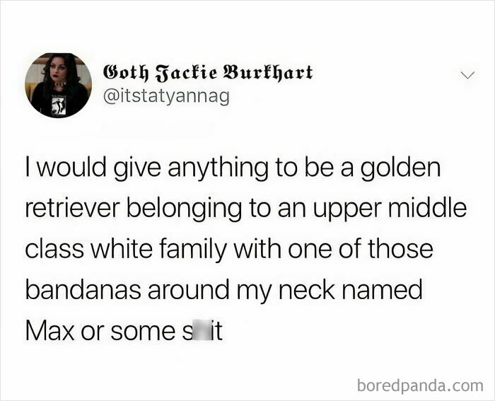 Relatable meme about wanting to be a golden retriever in a middle class family, humorously expressing a desire for a dog's life.