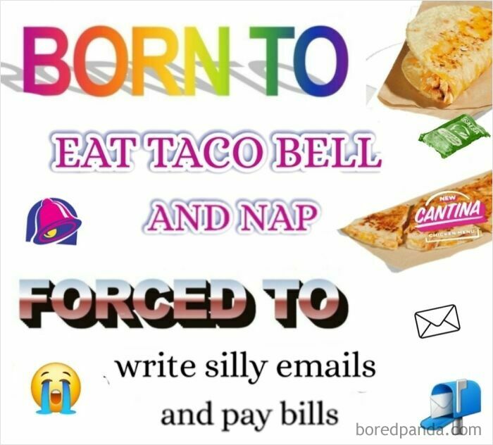Relatable meme with "Born to eat Taco Bell and nap, forced to write emails and pay bills" text and graphics.