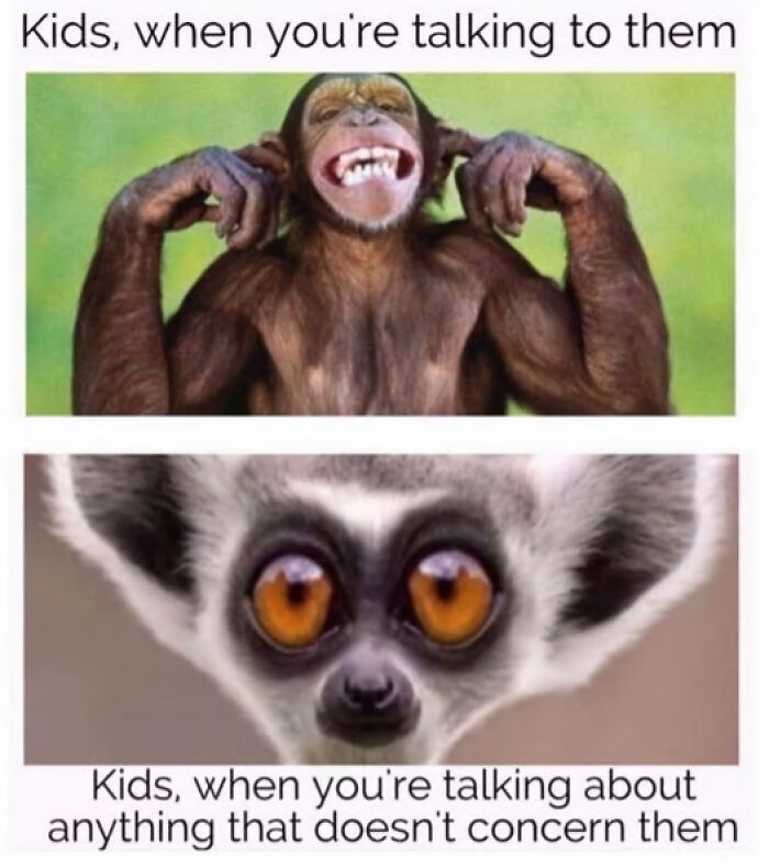 Monkey and lemur representing parenting memes about kids ignoring conversations.