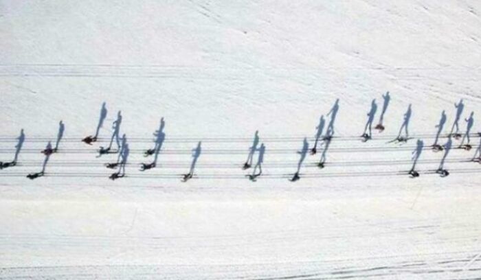 Shadows on snow creating an optical illusion, requiring a double take to understand.