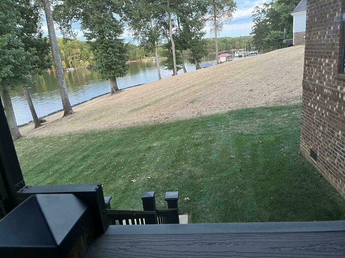 View of a mixed grass lawn beside a lake, sloping down to the water, showcasing an expensive renovation accident.