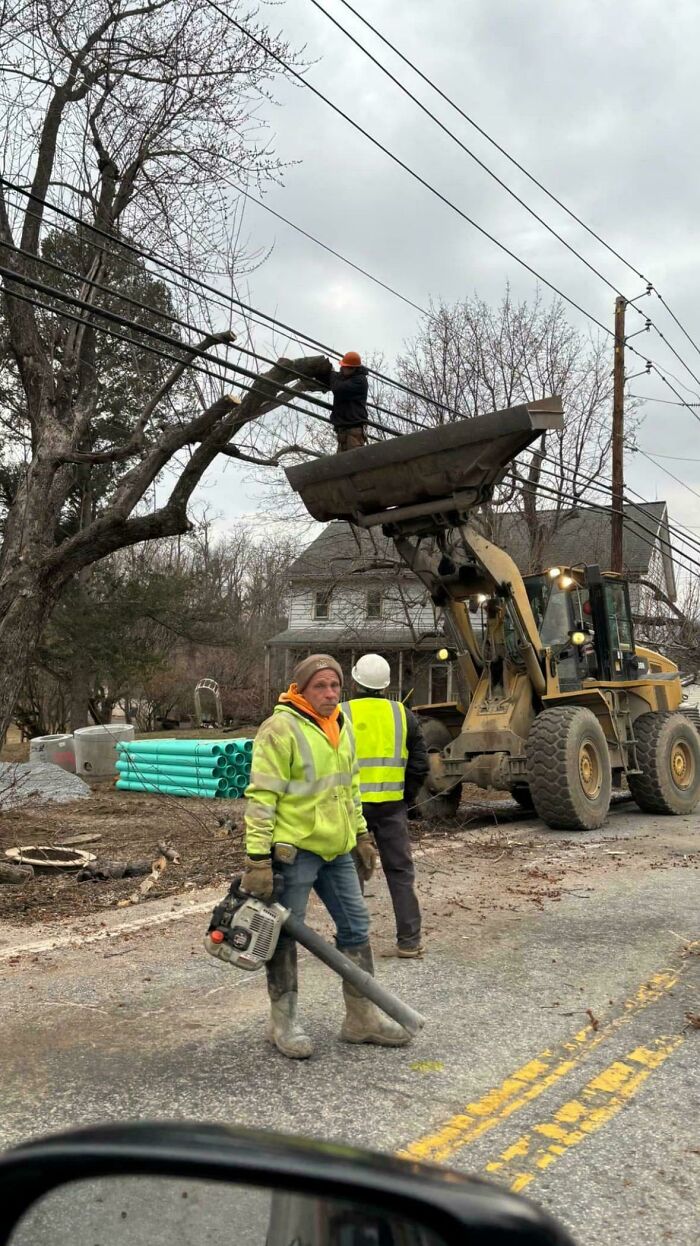Worker standing near heavy machinery while another dangerously trims tree branches close to power lines, ignoring safety protocol.