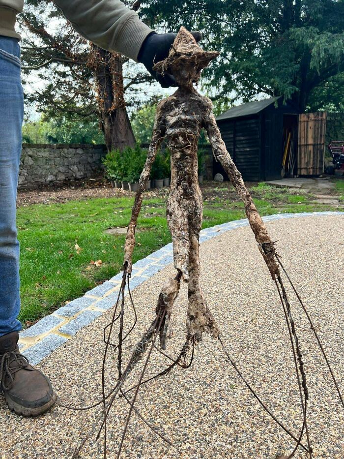 A person holds up a creepy, root-like figure with long limbs and a pointed head, reminiscent of "Hair Of Kids I Babysit".