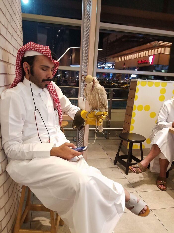 Man in traditional attire with a falcon inside a cafe, showcasing a unique Dubai scene.