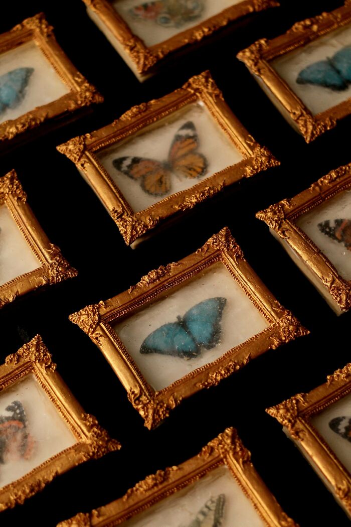 Mini decorative bakes featuring realistic butterfly images in ornate gold frames, showcasing incredible artistic baking skills.