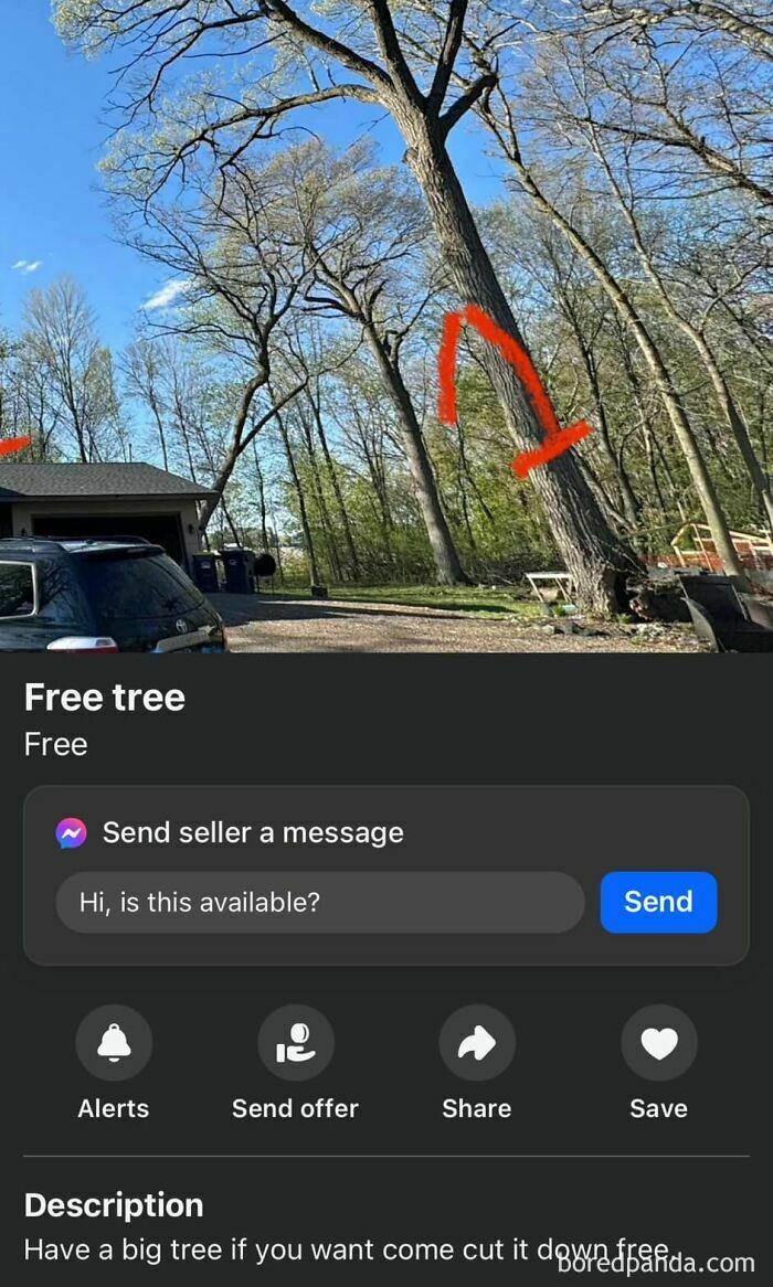 Bad decision on Facebook Marketplace: free tree offer with a red arrow pointing at it.