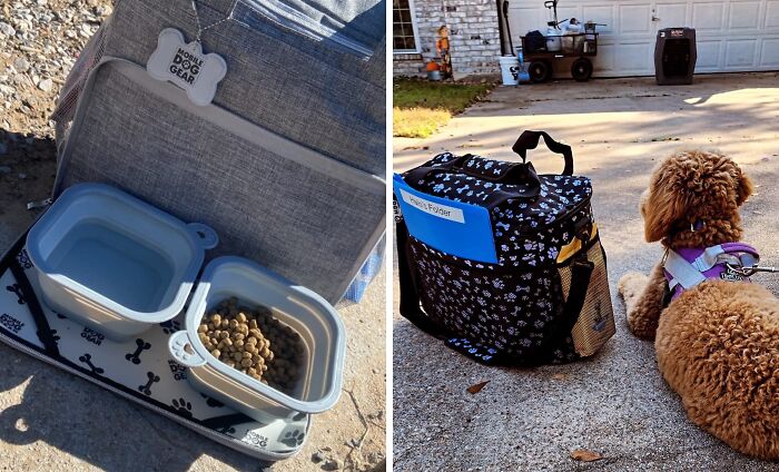 Dog gear and food containers with a backpack beside a dog, showcasing products from small businesses on Amazon.