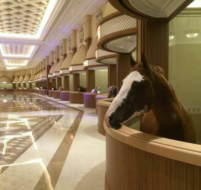 Horse at a lavish reception desk in a unique architectural setting, highlighting a surreal only-in-Dubai scene.