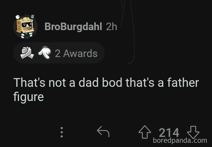 Screenshot of a Reddit post saying "That's not a dad bod that's a father figure," with 214 upvotes and two awards. Rare compliments.