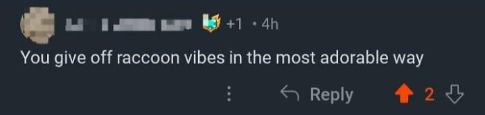 Comment giving a rare compliment: "You give off raccoon vibes in the most adorable way."