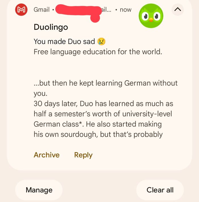 Duolingo email with passive-aggressive message about learning progress, featuring a sad Duo emoji.
