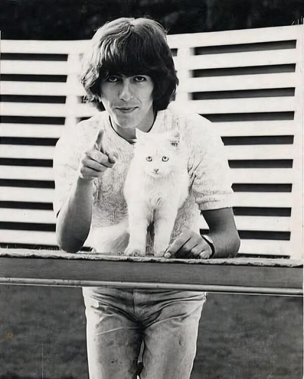 A man with a 1970s hairstyle points playfully, next to a white cat, against a slatted fence backdrop.
