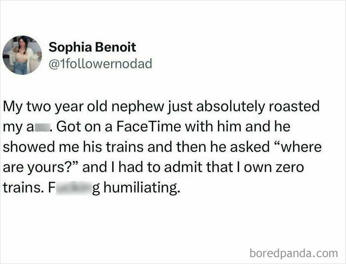 Middle class fancy meme about a nephew's playful roast over FaceTime regarding toy trains.