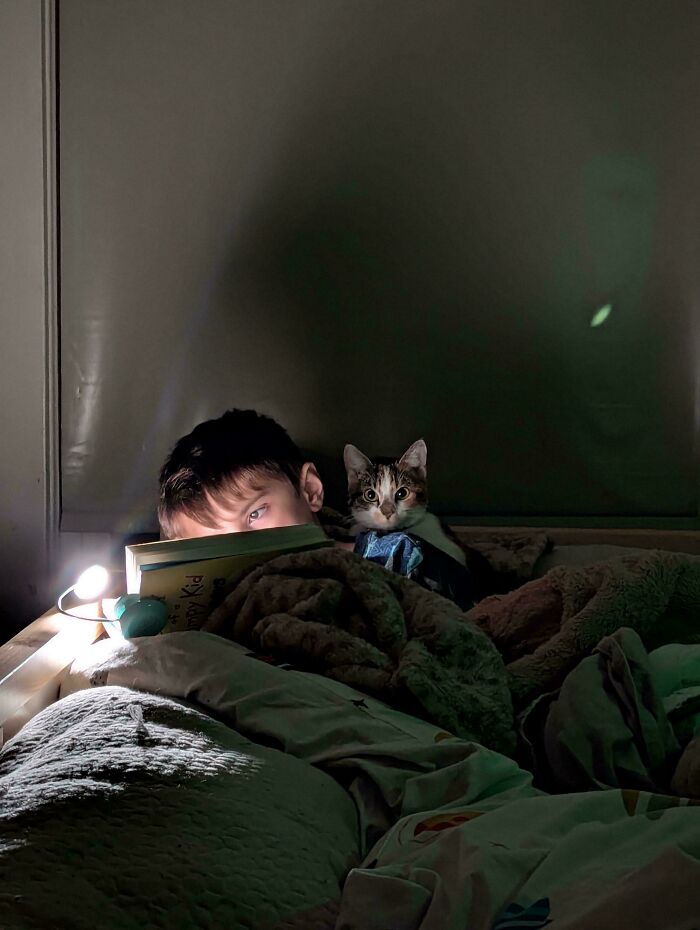 Child reading under a blanket with a cat, evoking an accidental renaissance painting vibe.