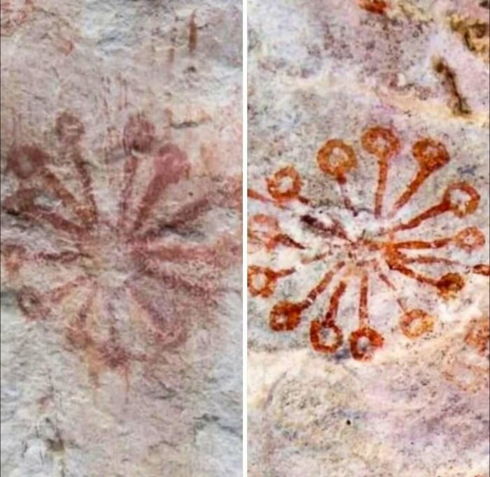 Ancient rock art with circular patterns, showcasing items preserved from the past.