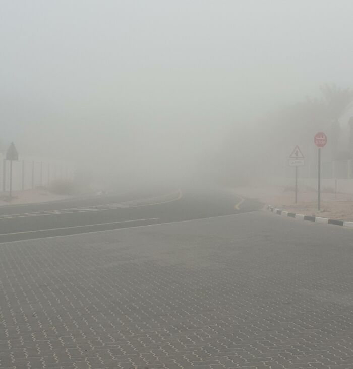 Thick fog obscuring a deserted road intersection, showcasing nature's powerful and terrifying presence.