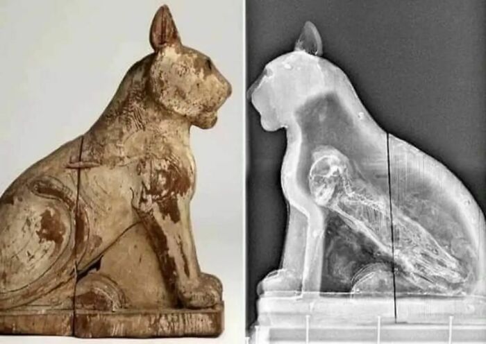 Ancient explorers: X-ray of a cat statue revealing hidden interior, showcasing preservation from the past.