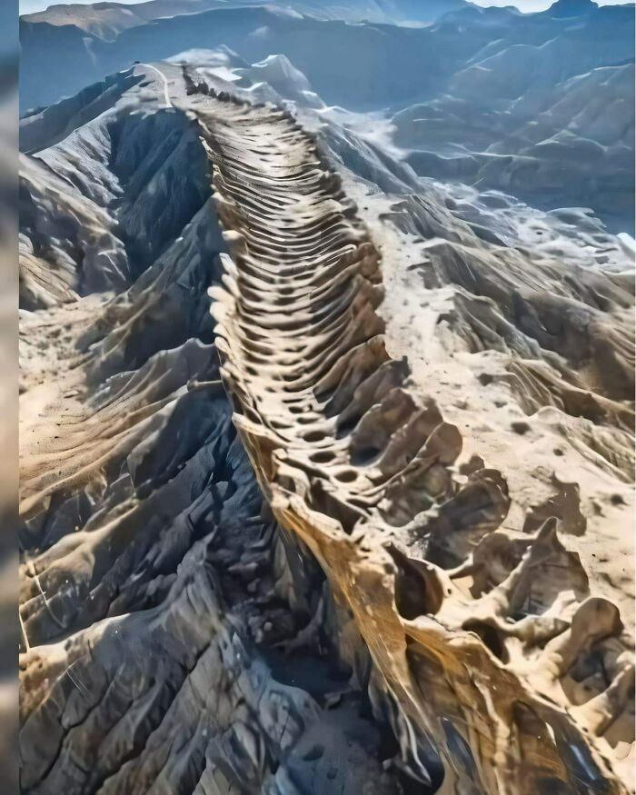 Ancient explorers preserve a giant fossil-like spine structure in a rugged, mountainous landscape.