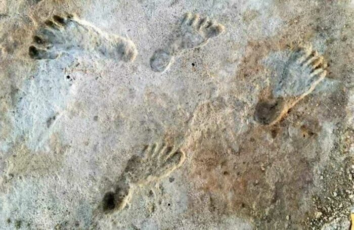 Ancient explorers' footprints preserved in stone, showcasing historical remnants from the past.