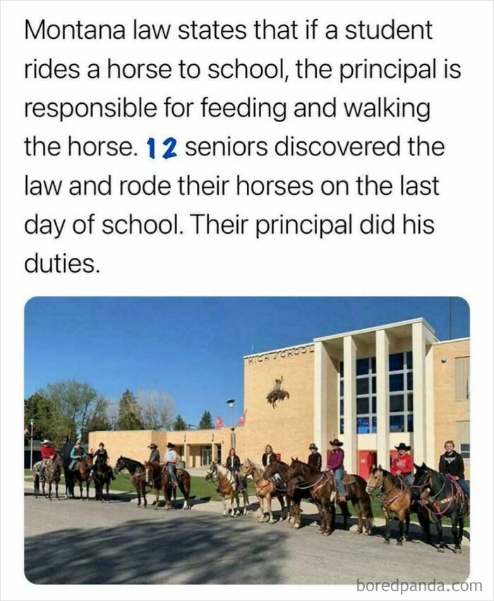 Students on horses outside a school, highlighting quirky Montana law, embodying random internet content humor.