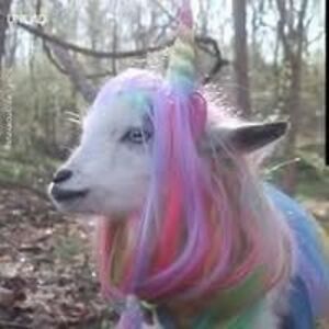 hannes_koberstein avatar