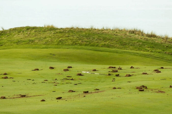 Golf course with scattered dug-up turf attempts, showing failed groundskeeping efforts against a hilly backdrop.