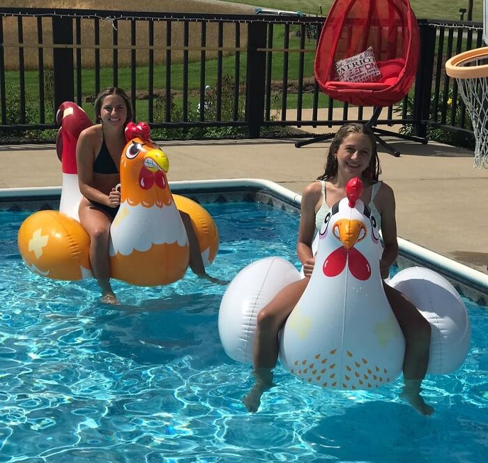 Women on inflatable chicken pool floats, testing our self-control with whimsical fun at a backyard pool.