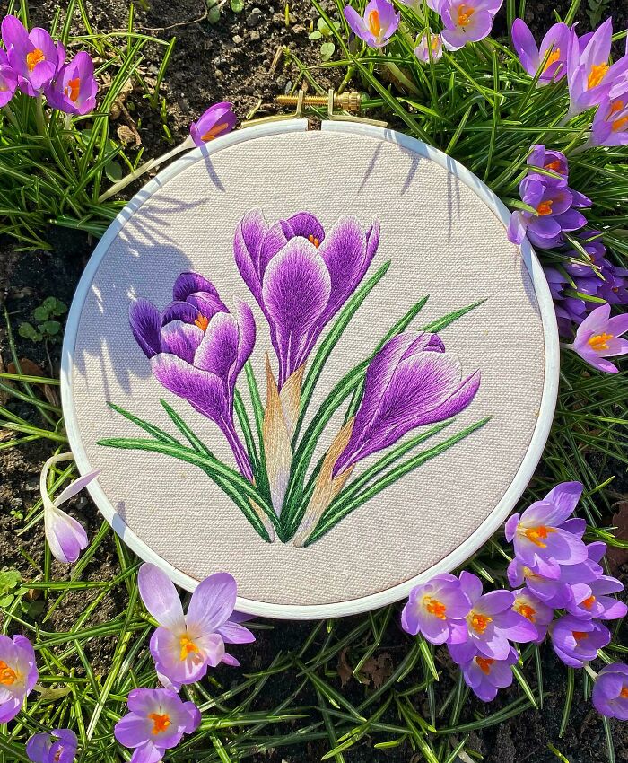 Intricate embroidery of purple crocus flowers displayed in hoop surrounded by real blooming crocus in garden setting.