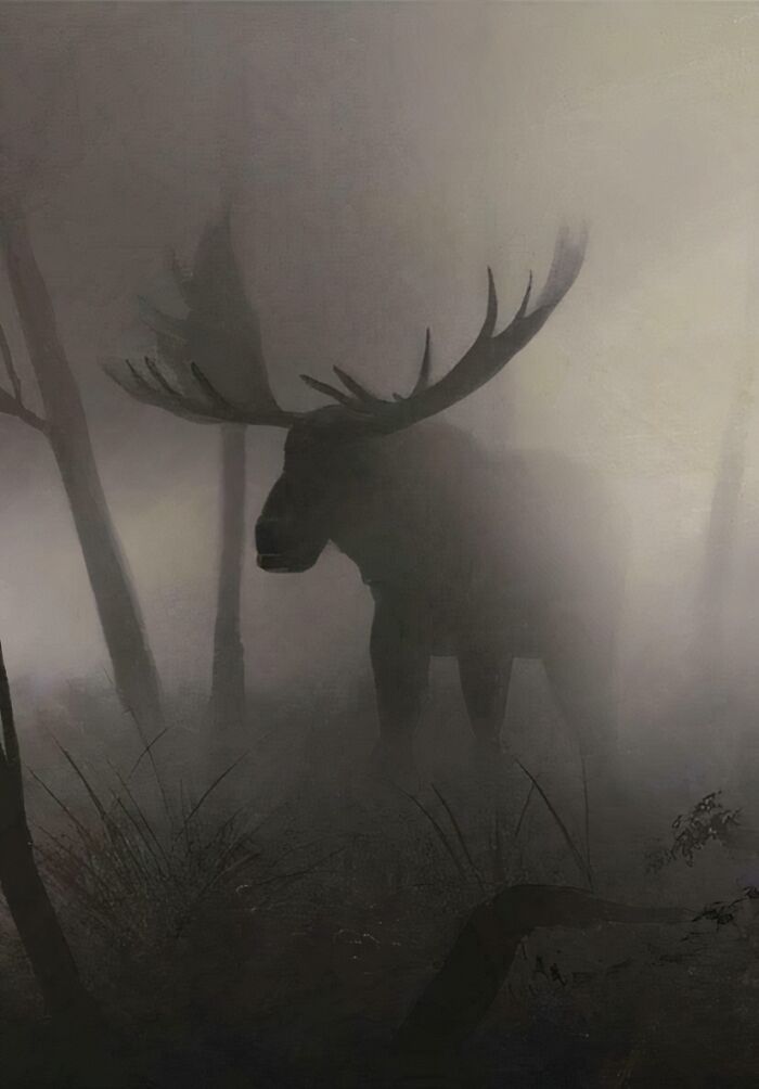 Alce en un bosque nebuloso, creando una atmósfera extrañamente aterradora.