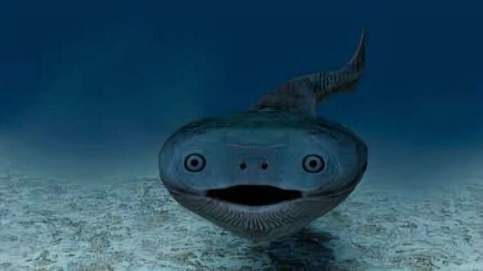 Extrañamente aterrador pez abisal con cara peculiar sonríe en el fondo del océano.