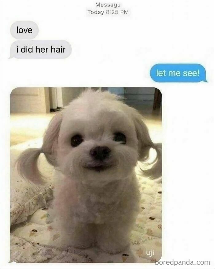 Funny-Random-Memes-Memedfyi