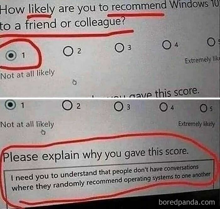 Survey response with a funny reply about recommending Windows, highlighting work-related humor in a meme.