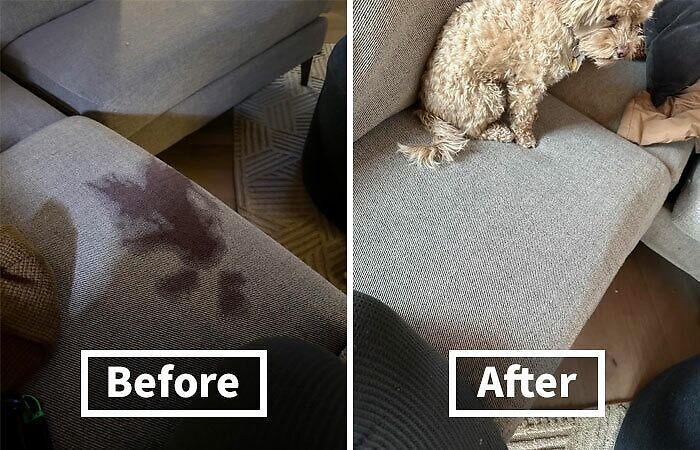 Before and after of a sofa with a stain removed, showcasing a cheapskate cleaning hack.
