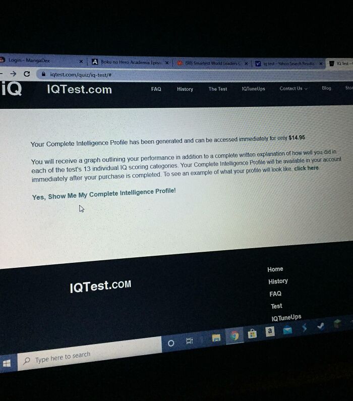 IQ test website offering intelligence profile for $14.95.