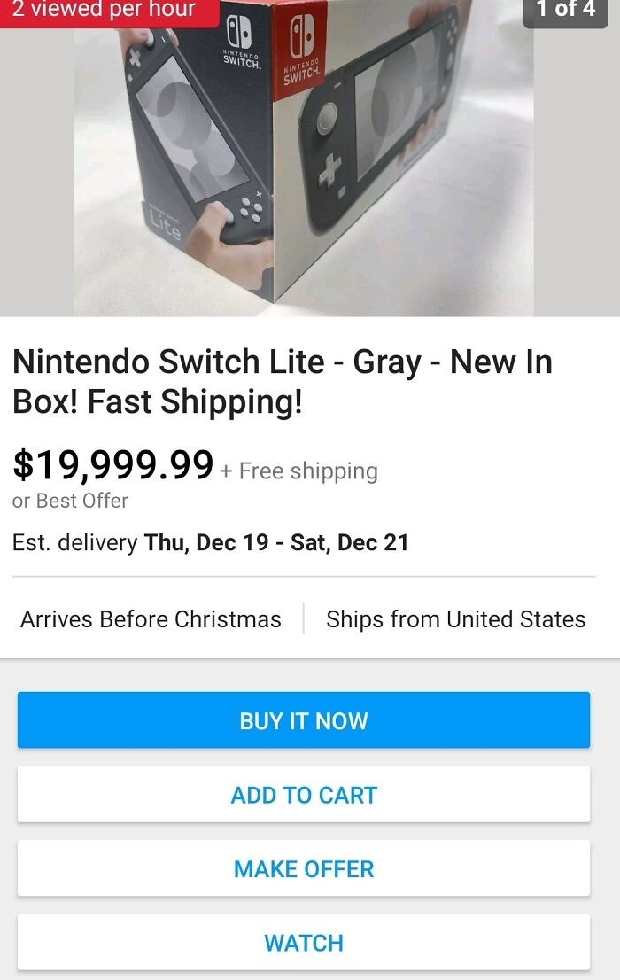 Nintendo Switch Lite listed at $19,999.99, resembling a shameless scam.