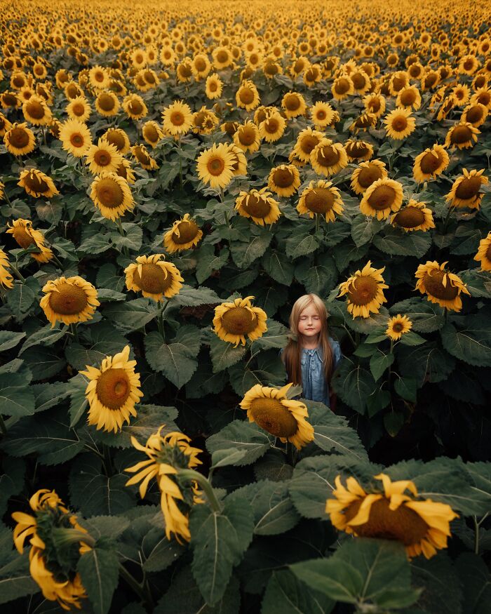 A child standing amid tall sunflowers, capturing the magic of childhood through a mother’s lens.