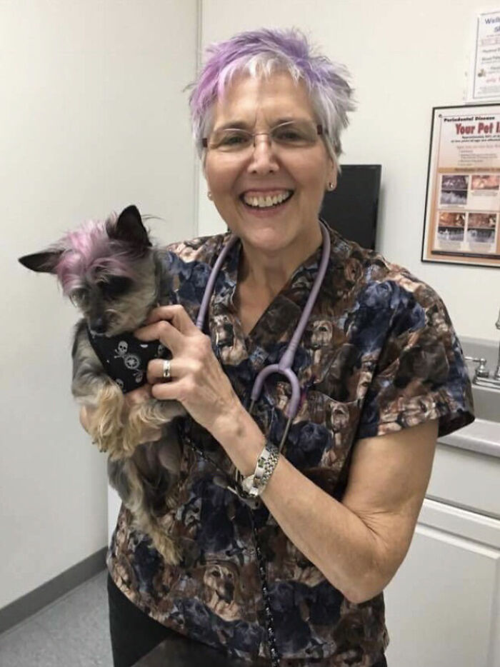 Veterinarian smiles holding a small dog with matching purple hair, creating a wholesome moment in the office.