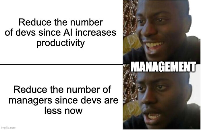 Meme showing management's reaction to reducing developers with AI, reflecting programming and computer science humor.