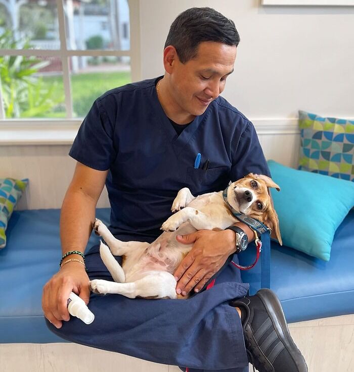 Veterinarian holding a relaxed dog on his lap, creating a wholesome moment at the vet's office.
