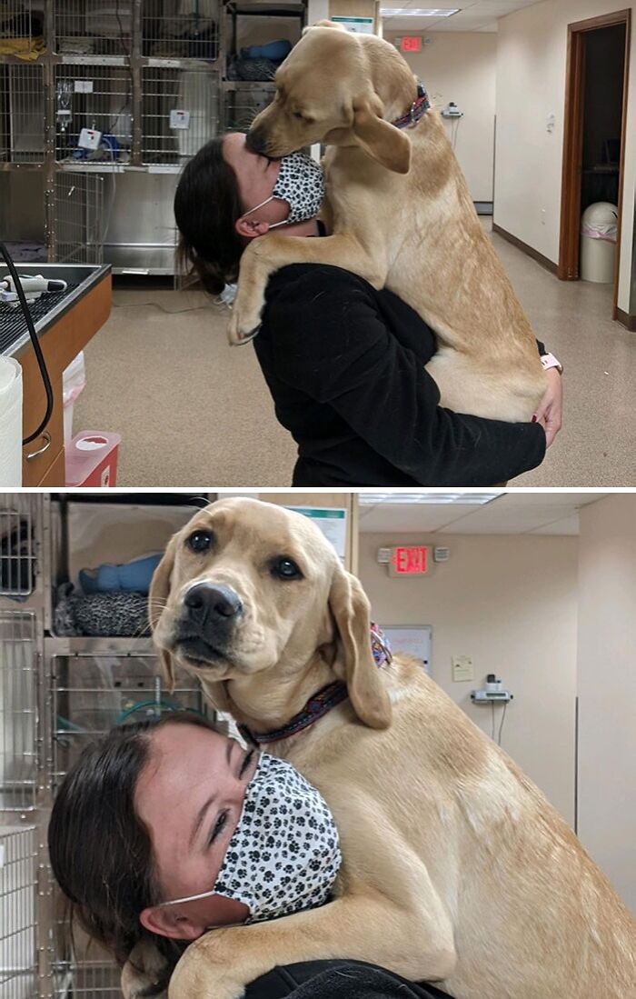 Veterinarian hugging a dog in the clinic; both look content and affectionate.