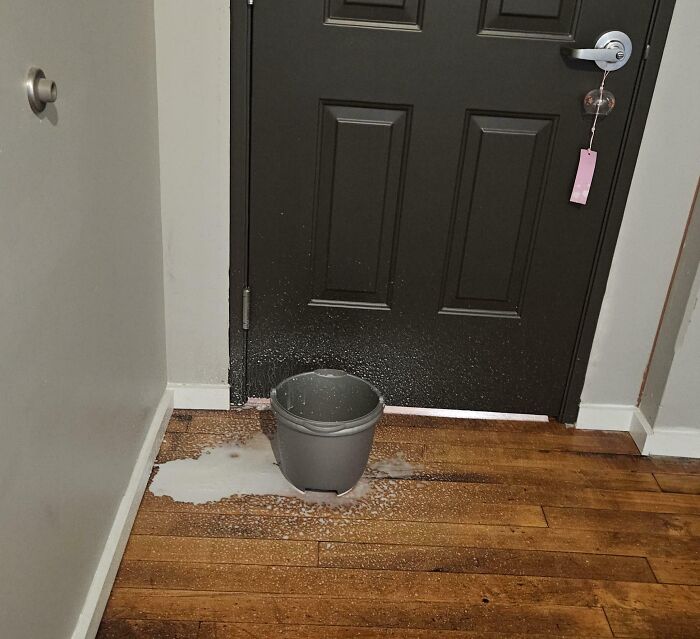 Spilled paint near a front door, a bucket placed on wooden floor, representing expensive accident cleanup efforts.
