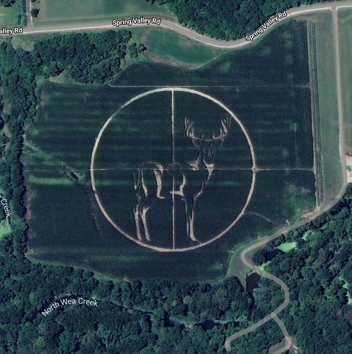 Strange Google Earth view of a field with a deer design inside a circular pattern showing unusual artwork.
