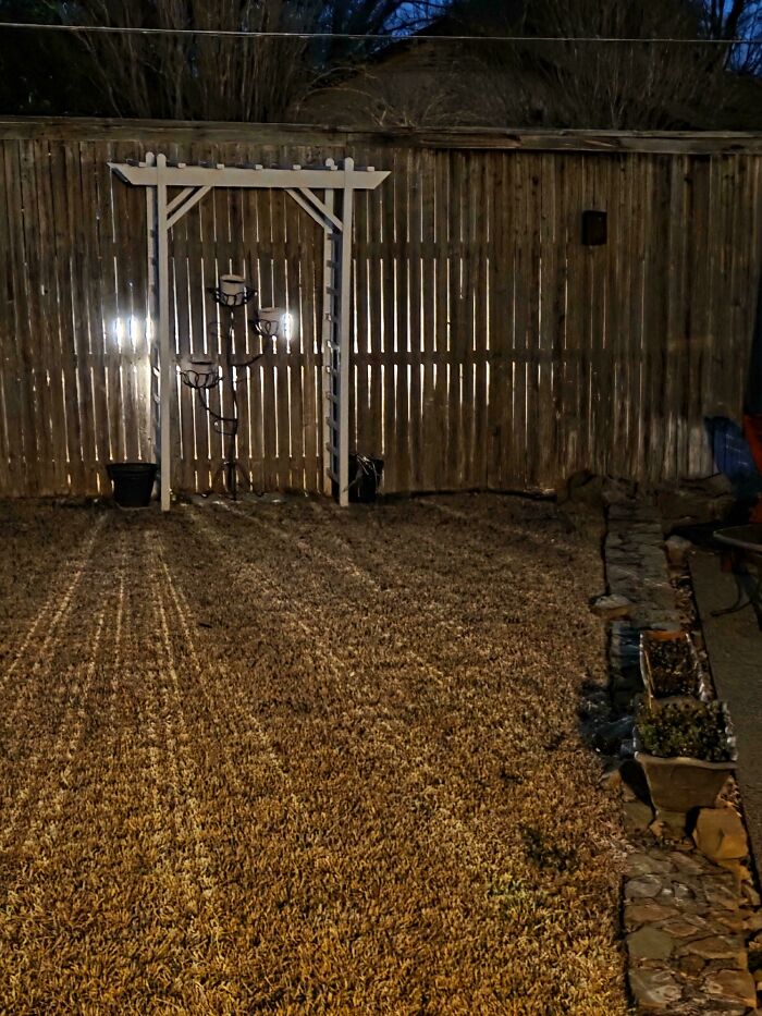 Night backyard with shadows cast by white pergola on dry grass under wooden fence